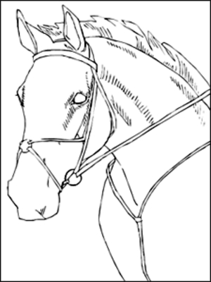 Product picture Horses Printable Pyrography Stencils