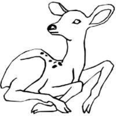 Product picture DEER Pyrography Stencils